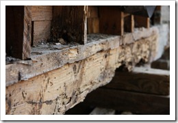 Rotting boards in the flooring system 